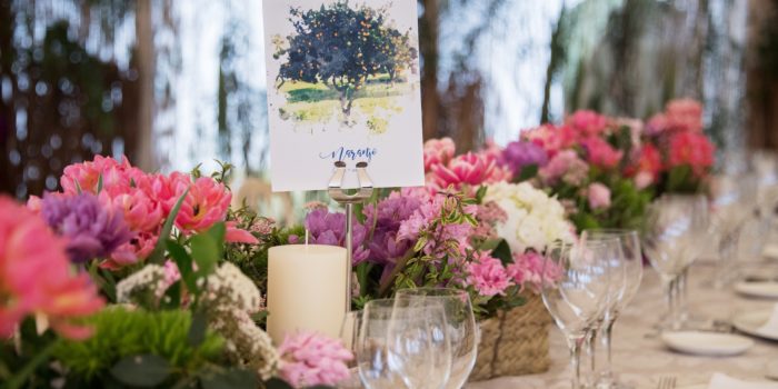 Boda Santa María Polo Club Sotogrande 2 - Snoopy Productions